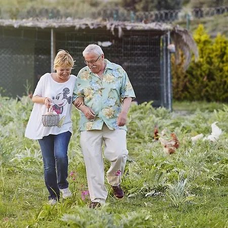 Casă la țară L'olivier *