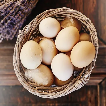 Casă la țară L'olivier Alacati