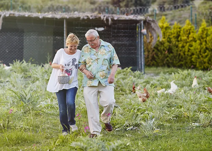Летний дом L'olivier *