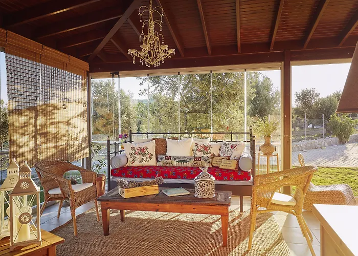 L'olivier * Alaçatı