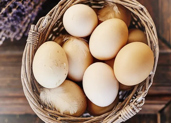 Летний дом L'olivier Алачати