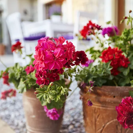 L'olivier Landhuis Alaçatı