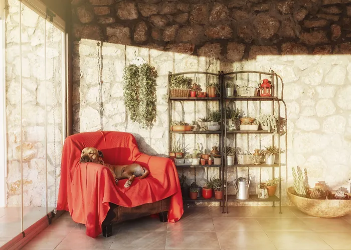 L'olivier * Alaçatı